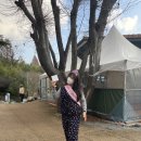 B.T.M 이미지