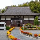 군산복집 이미지