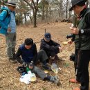 2016년 4월 매화회 두번째 산행 강화 고려산 이미지