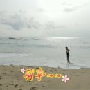 자작도 하우스 이미지