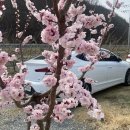 하회 휴펜션 | 안동단체펜션 조용한독채펜션 [쉼농원펜션]