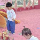 한사자농장 | 강릉 여행 마지막 날, 아이들이 더 좋아했던 곳｜쌍둥이동물농장 후기