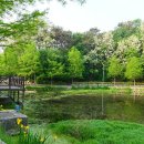 대청호 자연수변공원 이미지