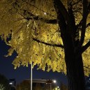 연리지모텔 이미지