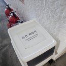 씨유제주세화해변점 | 제주 세화해변 바로 앞 숙소 추천 엠스테이펜션 단체룸 비치뷰 솔직후기 (아기랑 가능)