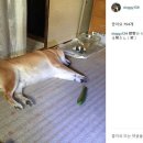 담배가게 이미지