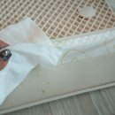 미막순 | 강아지 배변판 바잇미 제로매트 논슬립매트 추천 리뷰_강아지 발도장 탈출 직접 써 본 후기