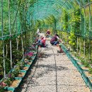 장승포체육공원 이미지