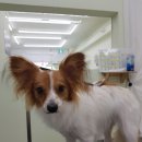 개도만족 이미지