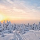 눈부시게 - 광산구 | 눈부시게