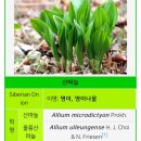 강릉안반데기관광농원 | 예약 방법,1인 금액 | 테이블, 의자 없어도 가능 | 꿀팁,솔직후기