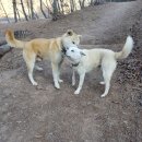 풍산농장 이미지