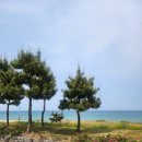 중앙시장번영회2층화장실 | ［속초 2박3일 여행］짬뽕맛집, 청초호수길, 갯배타기, 중앙시장 까지 하루가 모자란 속초 1일차 후기