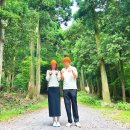 치유의 바람 | 서귀포 치유의 숲 걷기 후기｜편백숲 힐링코스부터 사전예약팁까지!