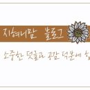 하이초등학교 이미지