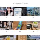소도시 마쓰야마 2박3일 찐여행후기✈️🇯🇵