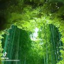 담소 이미지
