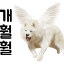 여주-0853 네이버블로그