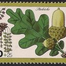 상수리공원 이미지