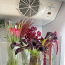 사화로17번길 이미지