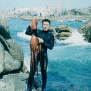 서흥초등학교 이미지