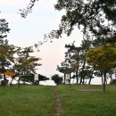 염포야영장 이미지