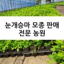 웰빙약초농원