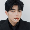 제로베이스원 카카오 검색결과