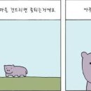 화성동물병원 이미지