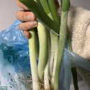 공골농장 이미지