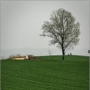 배나무목장 이미지