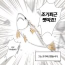 경성포도
