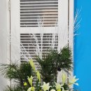 꽃꽂이 교실1 이미지