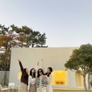 프롬 경주 이미지