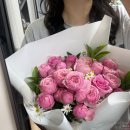 한스강아지방 | [MAY 2026] 사랑하는 순대에게/쿨라임 피지오라는 계절/초록빛 여름비/얼렁뚱당 분석왕의 삶