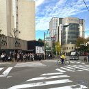 호텔더(THE)블릭스 | 후쿠오카 숙소 추천｜하카타역 호텔 더 베이직스 후쿠오카(The Basics Fukuoka) 후기