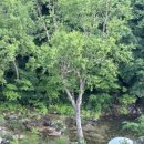 정선다온펜션 이미지