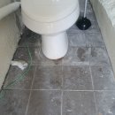 푸른길축산 이미지