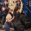 핏앤피트니스PT&그룹피티 이미지