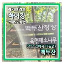 금곡1 | [김해 대동] 아재하이킹 육형제소나무가 있는 김해명산 백두산