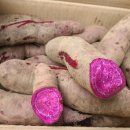 빛깔고운떡