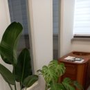 써니핏 다이어트 이미지