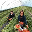 중방농장 이미지