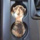 대진중학교 옆 | [대곡동짬뽕맛집] 비오는 날엔 짬뽕이지~~ 시원칼칼 가성비 맛집! &#39;석짬뽕&#39; 가격, 위치, 리뷰(후기)