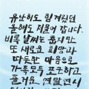 집고치는 남자