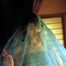 모토카리야 유이카 카카오 검색결과