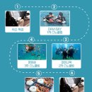 나트랑 여행조사 (1) 당일투어 정리!