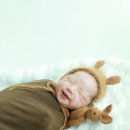 라임어린이집 | • [파주/운정/야당] 첫째 동반 가능 뉴아모르 산후조리원 후기 🐯