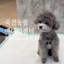 대경연합동물영상센터 이미지