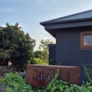 스테이레이어 | #스테이레이어